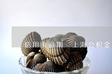 信用卡逾期 上海公积金 信用卡逾期 上海公积金